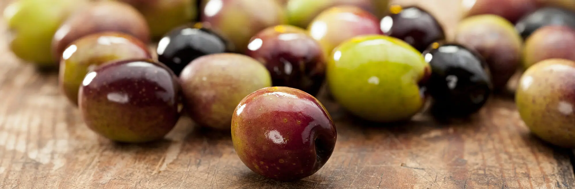 The best olive varieties according to the experts